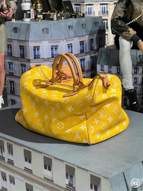 one million dollar bag louis vuitton|Louis Vuitton fashion show bag.